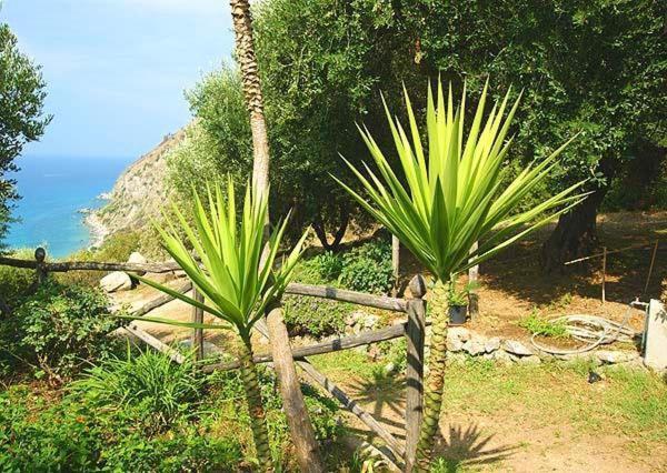 Villa Gemma Joppolo المظهر الخارجي الصورة